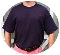 Navymodeled.jpg (7115 bytes)